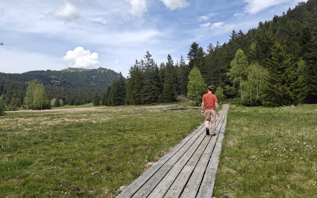 Marche du Temps Profond – 11 juillet