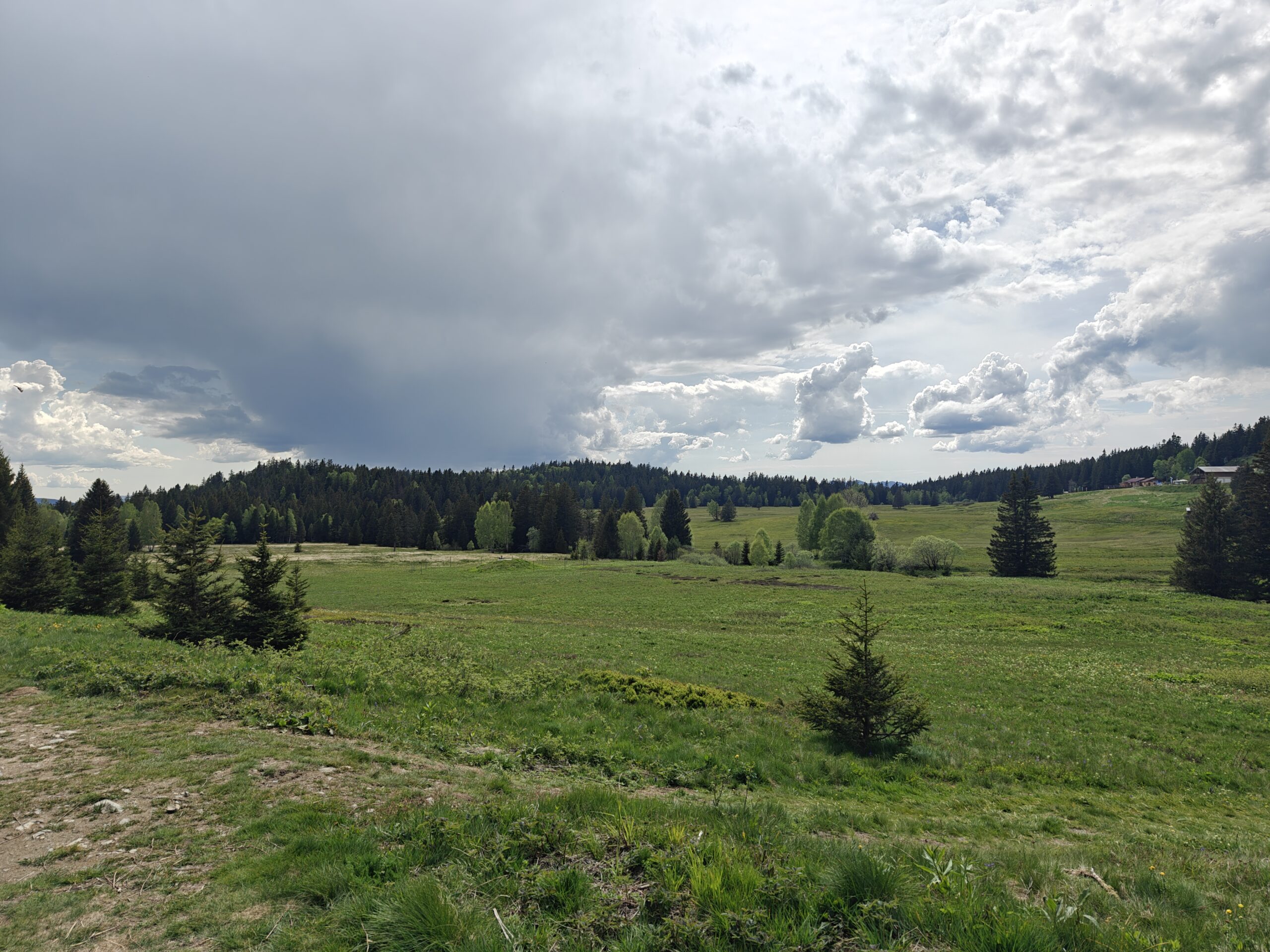oplus_3145728
