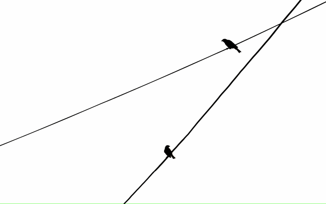 Rôles en Holacratie et statuts