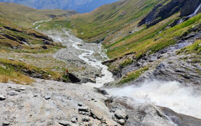 Nos expériences pour intégrer personnes Source et gouvernance en Holacratie
