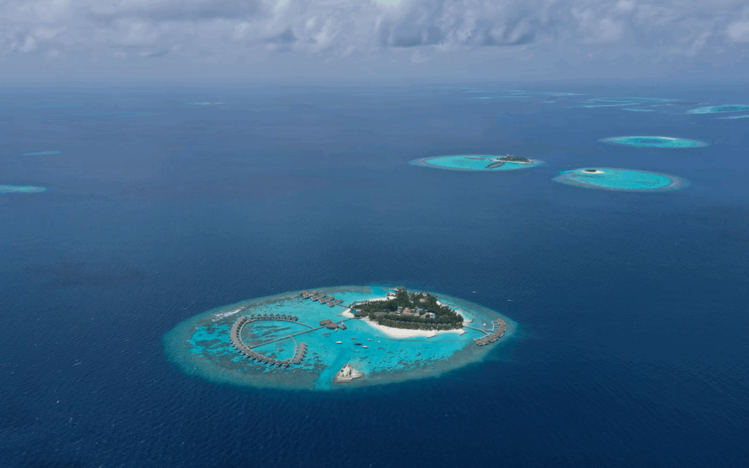 Ilots de pratique : mettre en place l’Holacratie dans une partie seulement de l’organisation, pourquoi c’est simple, pourquoi ça marche ?