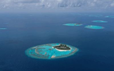 Ilots de pratique : mettre en place l’Holacratie dans une partie seulement de l’organisation, pourquoi c’est simple, pourquoi ça marche ?