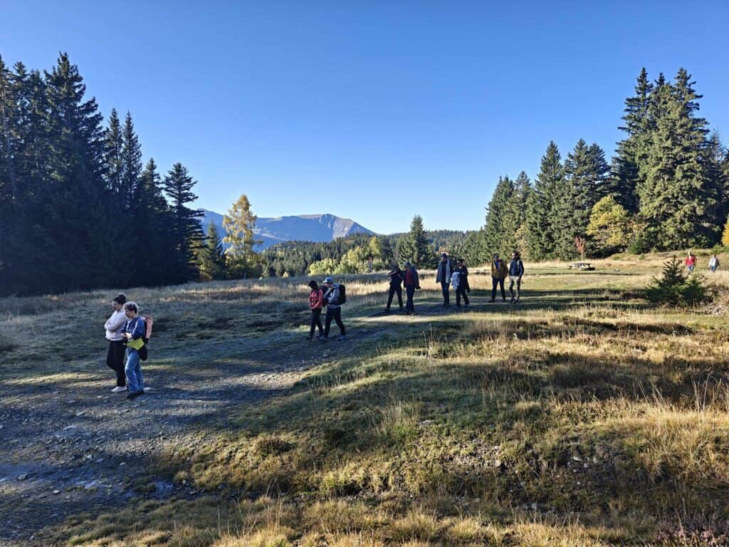 Groupe de personnes en pleine nature, participant à une activité de développement personnel ou profe.