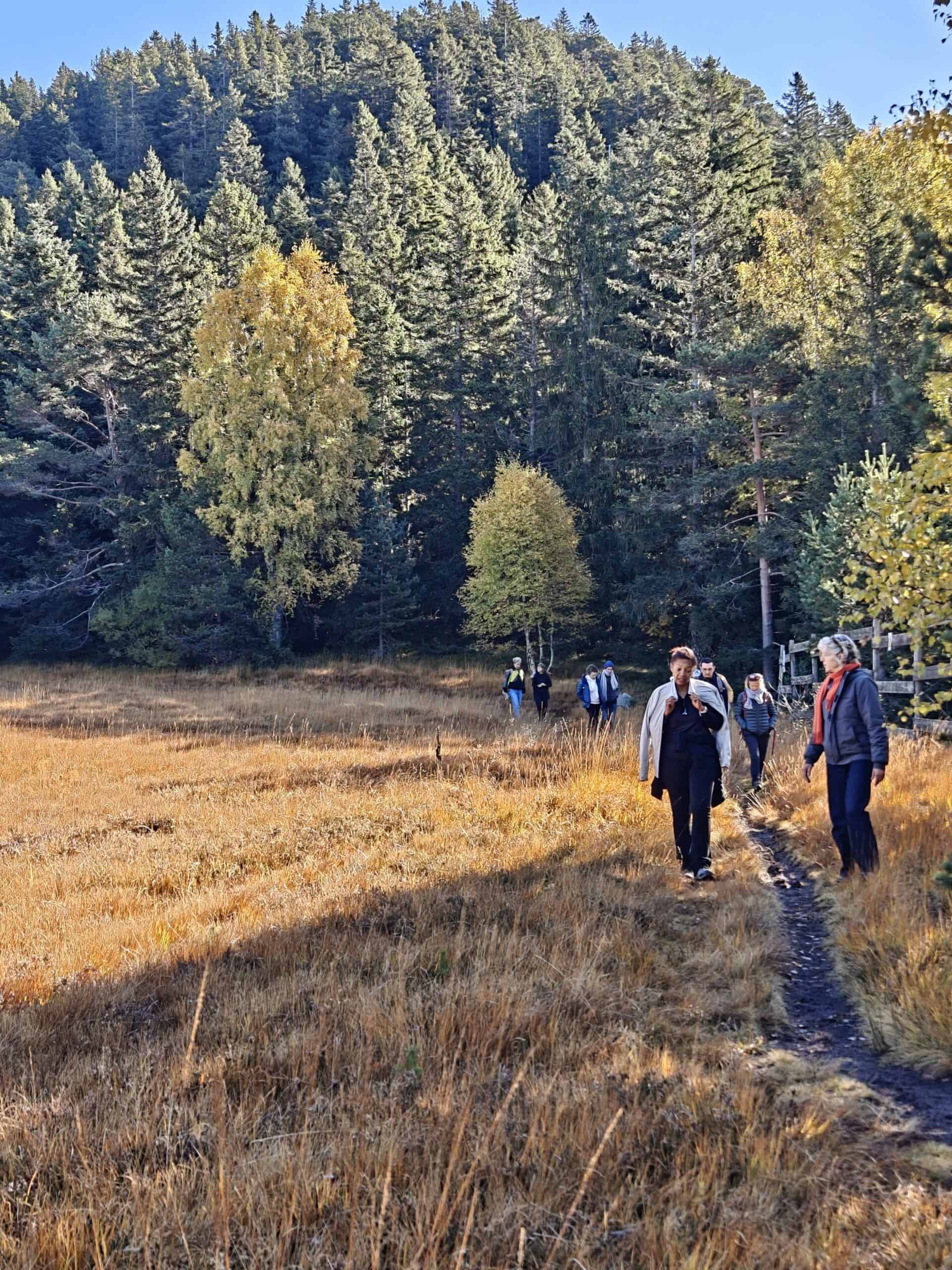 Groupe de personnes marchant dans une forêt lors d'un séminaire en plein air.