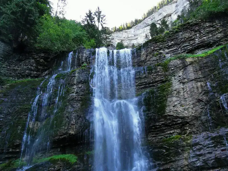 Cascade d'eau tombant sur des rochers dans une forêt verdoyante.