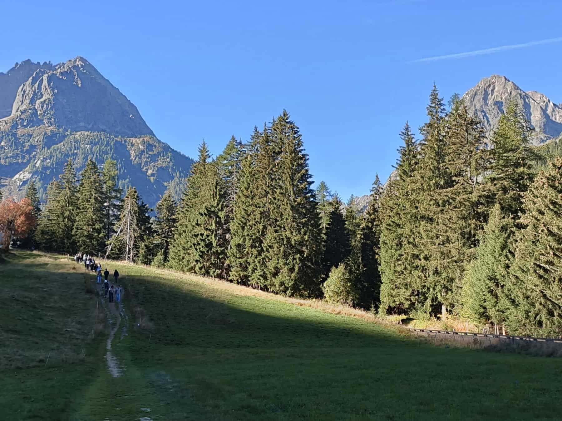 Groupe de randonneurs traversant une prairie en montagne.