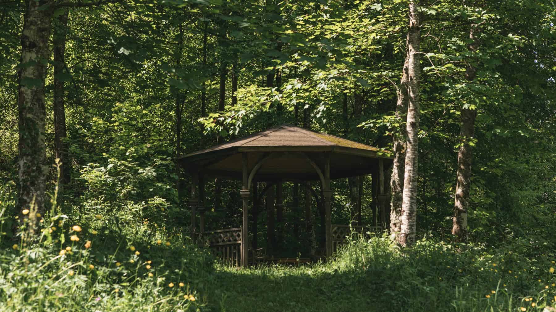 Kiosque en bois entouré d'arbres verts.